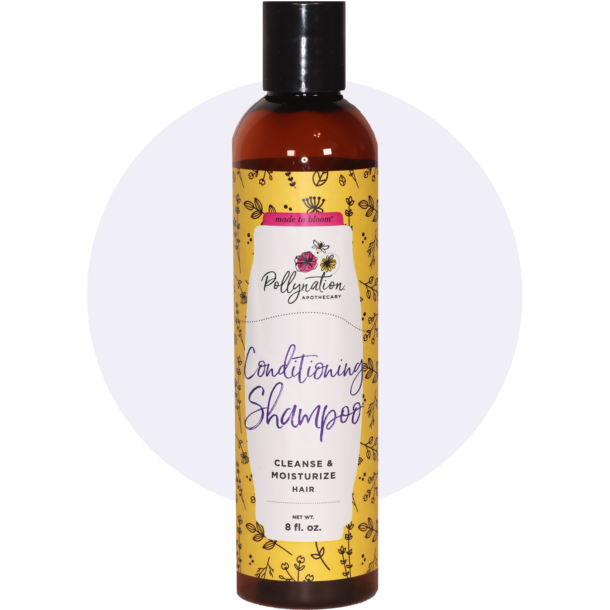 Conditioning Shampoo Pollynation Apothecary